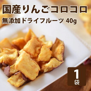   񂲔_Ƃ̎ 񂲃RR40g Y Y ᎉb sgp hCt[c J[ q V YhbOt[hynEhJ ybgpi ̂  V