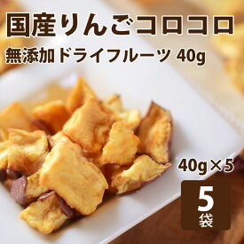 犬 りんごコロコロ40g（ 5袋セット ）おやつ りんご農家の手作り 無添加 国産 低脂肪 ドライフルーツ 【a0093】 帝塚山ハウンドカム