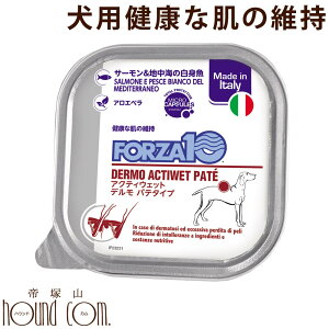 yN[|zzzFORZA10Ö@Hbp ANeBEFbg f T[nC̔gi畆сj 100g×12ʃZbg@pe^Cv(tHc@fBG`) h{Hya0346z