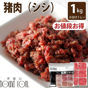 yN[|zzzLp Ⓚ VV~` 1kg i42g×24j g[ ^pN J[ yˎRnEhJ yVsX L̐ ybgt[hzya0028z 