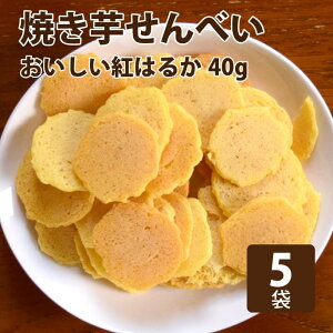 yN[|zzz  Y Y Ăׂ 5܃Zbg (40g×5) ᎉbyÂ   J ybg  p  Ic Ă  Y Y F 