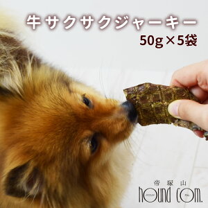  L p W[L[ TNTNW[L[ 50g×5܃Zbg ̔x O  S Y@Y g[c Ic J@ ނ q V pO V[Y[ ps