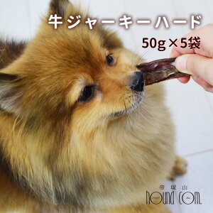 p W[L[n[h 50g×5 H Y S Y@ ʗp  f^ dȂ H   ^ ^ ^ gCv[h ` ~j