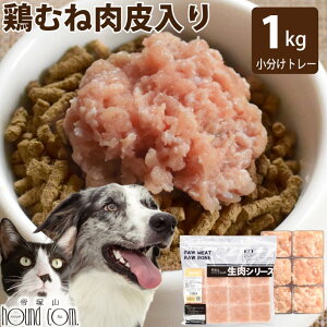  L p  Y{ނ˓~` 1kg (42g×24) Ⓚ ybg t[h Lp@˂ lR hbO Lbg hbN { Y{ ჊  ybgp  g[ l p 