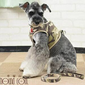  n[lX ASHUEFAn[lX  Zbg LL ^ ^  VɂDzEGAn[lX ViEU[n[lXy ˎRnEhJ yVsX Č R[M[  p