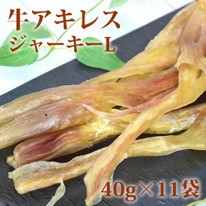 yN[|zzz^ ALXW[L[L 40g×11 SEY pW[L[ S Y  f^PA K   ̃K Y ᎉb ˎRnE