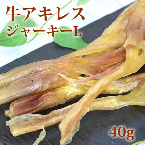 yN[|zzz^ ALXW[L[L 40g SEY pW[L[ S Y  f^PA K   ̃K Y ᎉb ˎRnEhJ