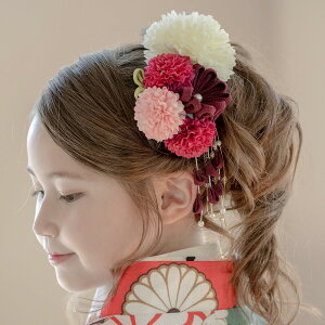 yj24NZ[zڋ aԂ̔2_Zbg Nbv ̎q   l q l  U葳 񂴂 R[ wAANZ TAK ANZT[LbY LTRe[W