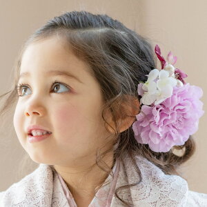 ڋ {[~[t[Nbv  wAANZT[ Ǝ a ̎q  w   ܎O TAK LTRe[W