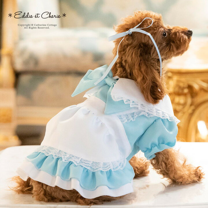 楽天市場 セール品ドッグウェア ワンピース 水色アリスエプロンドレスyup12 メール便優先商品 Eop キャサリンコテージ
