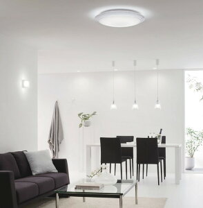 I[fbN V[OCg yOL291351RzyOL 291 351RzAQUA ANA y[J[񂹁zyρE㕥ϕszyiz {x ANA ACX