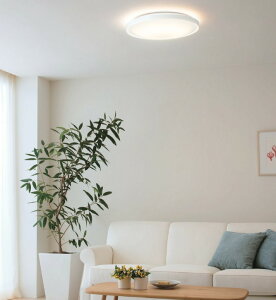 �I�[�f���b�N �V�[�����O���C�g �yOL291552R�z�yOL 291 552R�z �V�[�����O���C�g�y������ρE�㕥�����ϕs�z�y�����i�z �{��x��