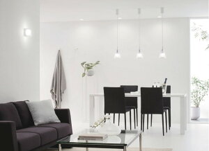 yOP252543LRzyOP 252 543LRztW|V[OidFjI[fbN y_gCg y_gCg@݂艺@ AQUA ANAyρE㕥ϕszyiz {x 