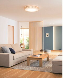 �I�[�f���b�N �V�[�����O���C�g �yOL291503BCR�z�yOL 291 503BCR�z�y���[�J�[���񂹁z�y������ρE�㕥�����ϕs�z�y�����i�z �{��x�� �d���F�`�����F LED�Ɩ��A�����E���F