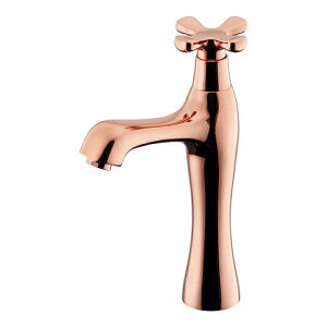 JN_C i~hj sNS[h 󒍐Yiy716-823-PGzyiz