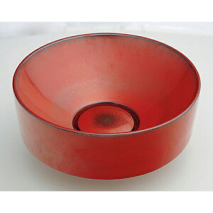 ی^//S y493-023-Rz yzǎށEޗzJN_Cyiz