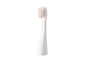 EW0957-W �p�i�\�j�b�N Panasonic �I�[�����P�A ���g�U���n�u���V �|�P�b�g�h���c EW-DS11�p�փu���V(��)(2�{��)�y�����i�z