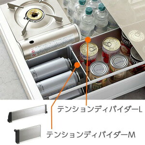 ���N�V���E�C�i�b�N�X�yBTTS40-55M2-CF�z LIXIL�E�T���E�G�[�u �e���V�����f�B�o�C�_�[�Z�b�g�i���[���j�b�g�p�j �L�b�`�����i [BTTS-**M1] LIXIL INAX�y�����i�z