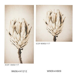 NVECibNXyECSF-XXXXS-117-CFz LIXILEINAX GRJbg Zt ECSF-1260S/117 ECSF-9090S/117 LIXIL INAXyiz