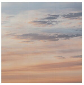 LIXILEINAX yECSF-9090S-201z GRJbg Zt ECSF-9090S/201 TCYFW909×H909