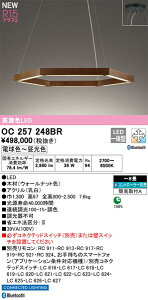 yOC257248BRzI[fbN VfA LEĎ^ FiRajF94 F`8 rOArO_CjOAVfAACgAƖACeAƖALEDƖ dF`F LED