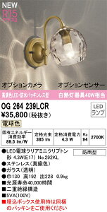 【OG264239LCR】オーデリック エクステリア ポーチライト LEDランプ 演色性(Ra):94 別売りで人検知カメラ、人感センサー モード切替、明暗センサー接続可能 アクア ウォーター