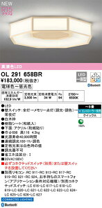 yOL291658BRzI[fbN V[OCg LEĎ^ FiRajF94 F`8 aƖAaA{ACeAAƖALED dF`F LEDƖAEF