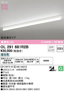�yOL291681R2B�z�I�[�f���b�N �x�[�X���C�g LED���j�b�g�����^ ���F���iRa�j�F94