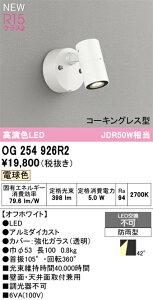 �G�N�X�e���A���C�g �I�[�f���b�N OG254926R2