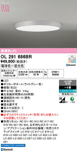 �V�[�����O���C�g �I�[�f���b�N OL291686BR ������E�㕥���s��