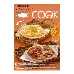 iC Rinnai 604-100-000 VsiRCP-71Wpj rgCRpi yiz