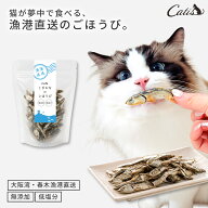 猫 おやつ 無添加 煮干し 国産 45g 大阪産 カタクチイワシ 猫用おやつ ご褒美 トッピング カルシウム 小…
