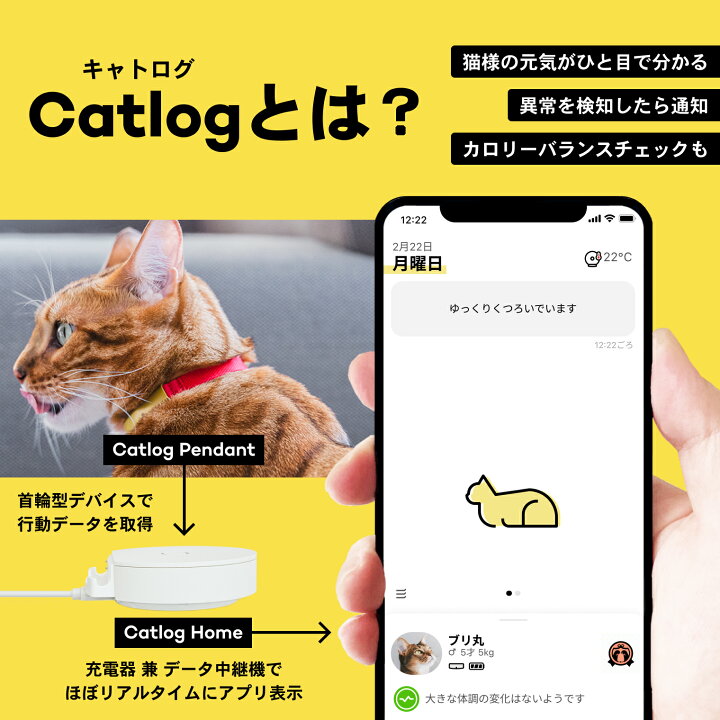 楽天市場】Catlog (第1世代) 基本セット 猫鈴ゴールド キャトログ 猫 