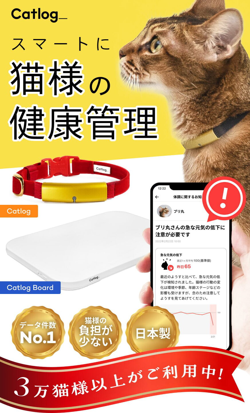 catlog（ゴールド）+home+Boardの3点セット 虐げ