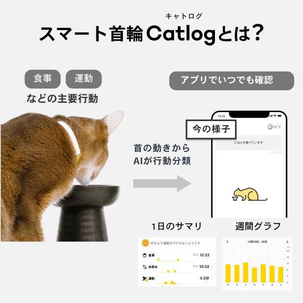 【猫 スマート首輪 安心安全】Catlog (基本セット)猫鈴ゴールド キャトログ | Catlog楽天市場店