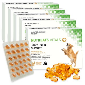 yr[300~OFFN[|zj[g[c oC^YvX p IK3 ֐ߔ畆T|[g Tv ֐ DHA EPA 畆 t _o  VjA GMCKC i` 