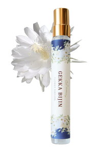 y AȌl̍ǋ z l 10ml t̎ Xv[ I[hpt@ { Mtg 蕨 Lbg}~[ QbJrW т