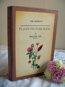 eBA@Â{̔@閧̈o bht[