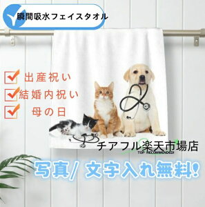 uԋztFCX^I G̗ǂz^I  y ~ ėp q l IWi ʐ^JX^}CY\ oYj LOi