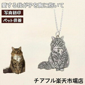 ybg  L  L DȎʐ^ I[_[Ch JX^}CY ʐ^ ] lbNX Vo[ANZT[ Ƒ vw t