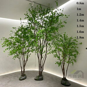 バナナ 観葉植物」の人気商品一覧 | 安い商品を通販サイトから探す 