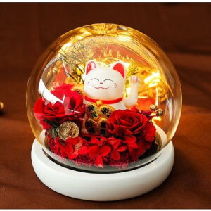 i L ̓ Mtg vU[uht[ ̓@ KX ͂Ȃ ỉ iCgCg Mtg{bNXt  a