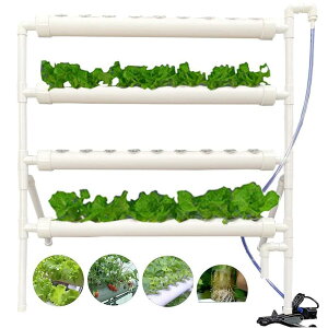 k͔|Lbg ͔|Lbg   ͔|Lbg  ƒ؉ k͔|Zbg v^[36 (36 )