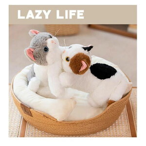 L̂ʂ Ђ˂ AȔL̕ ˂ lR q a ̓ ̓ hV̓ v[g Mtg