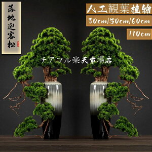 ~ tFCN tFCNO[ ~  ꂢ炸 ϏܗplH~  a ͂Ȃ ~ ̖ CeA ̊ a