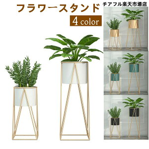 t[X^h ACA ԑ 47/70cm AؔX^h   O  x_ X u |bN K[fj