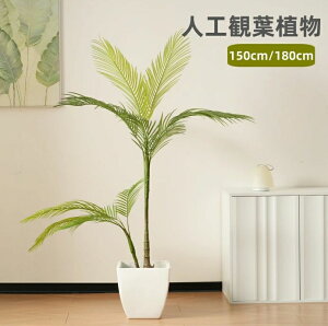 tFCNO[ ^ ϗtA 150cm 180cm V̖ ̖ tFCNO[ lHϗtA ^ h  ze CeA