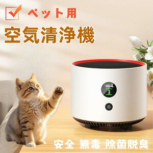 C@ ^oR RpNg C@ ^ C@ ԕ C ybg nEX_Xg  L ybgp ECX΍ 