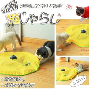 L  d L炵 Lp d ybg d  Lp Lpi L ˂ lR ybgpi I` ]