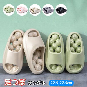 NT_ c{ fB[X Y Xbp  r[`T_ V[T_    EVA 􂦂  y